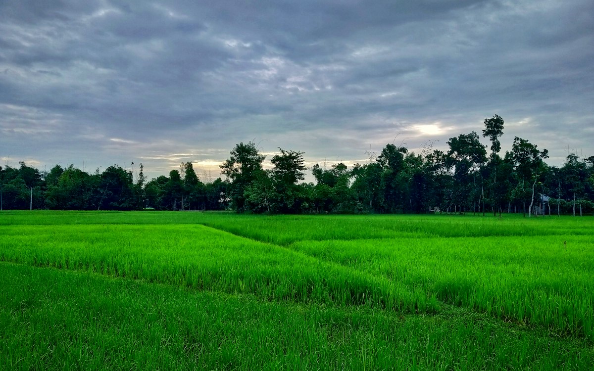 খুলনায় নতুন শিল্পপার্কে কাজ পাবেন ৫ হাজার মানুষ